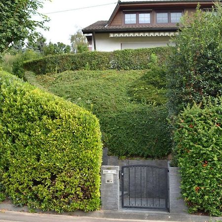 Ferienwohnung Kaiserstuhlblick Teningen Exteriér fotografie
