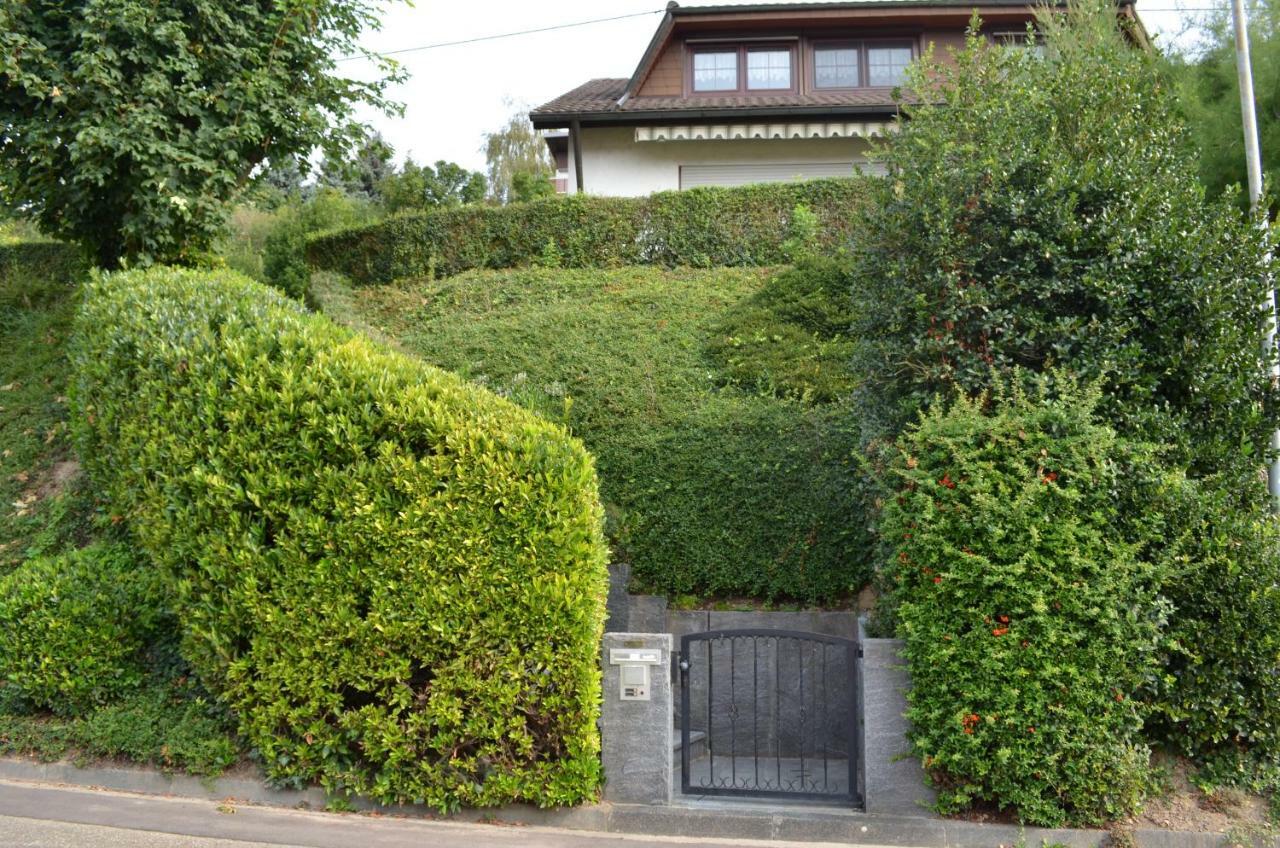 Ferienwohnung Kaiserstuhlblick Teningen Exteriér fotografie